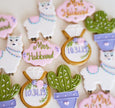 Decorated Sugar Cookies