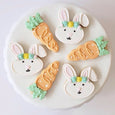 Decorated Sugar Cookies